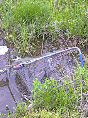 Picture from Clean Catoosa 2025