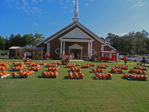 picture of fall festival and pumpkin sales